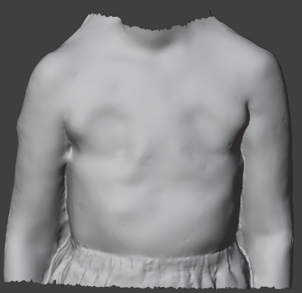 3D scan reference, front view. Fit reference image showing surface variation of a flat chest wall.