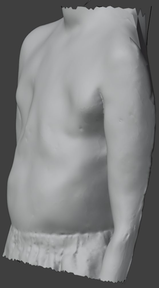 3D scan reference, left lateral view. Fit reference image.
