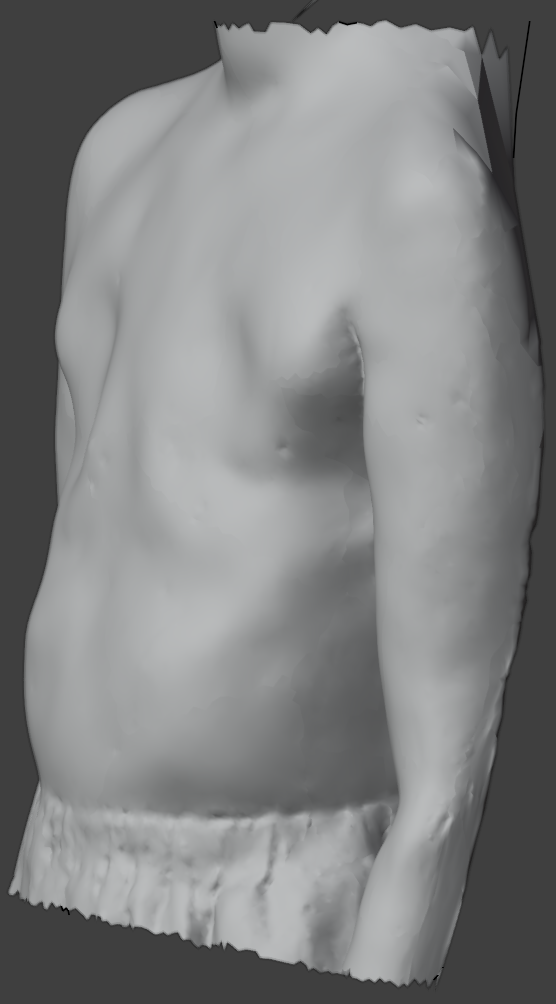 3D scan reference, left lateral view. Fit reference image.