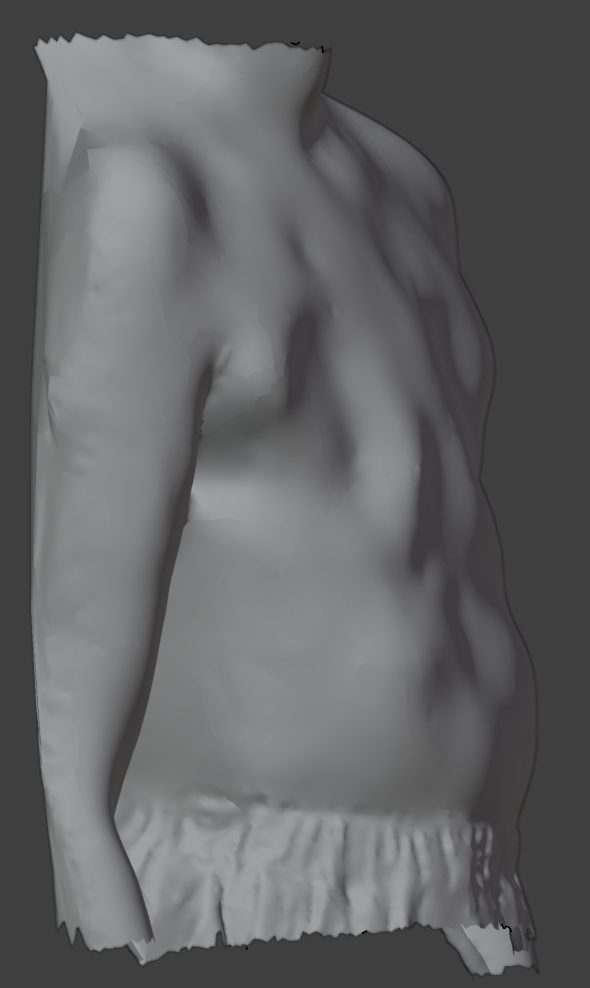3D scan reference, right lateral view. Fit reference image.