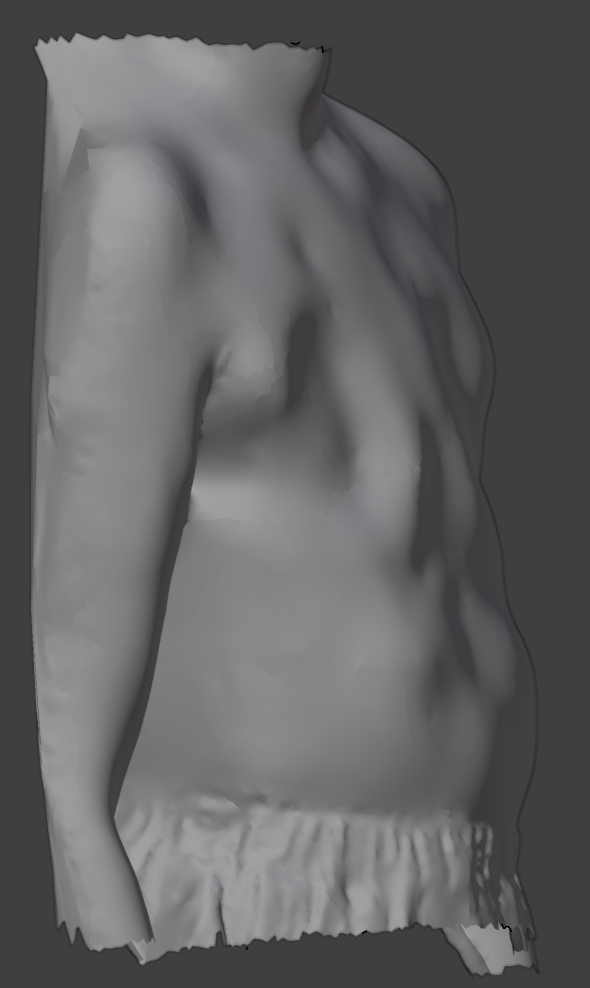 3D scan reference, right lateral view. Fit reference image.